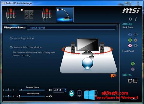 Capture d'écran Realtek Audio Driver pour Windows 8