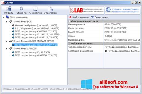 Capture d'écran R.saver pour Windows 8