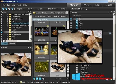 Capture d'écran ACDSee Photo Manager pour Windows 8