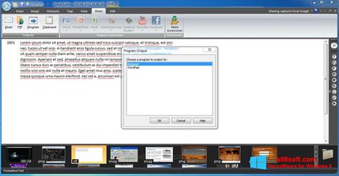 Capture d'écran Snagit pour Windows 8