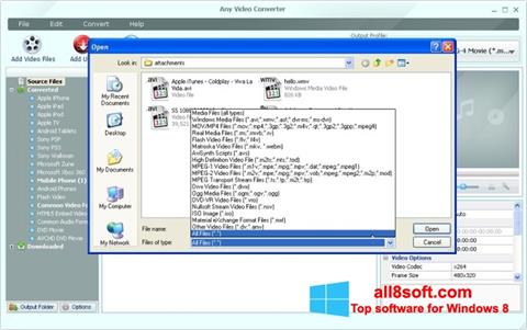 Capture d'écran Any Video Converter pour Windows 8