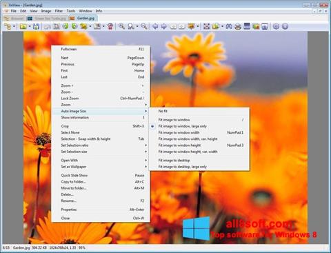 Capture d'écran XnView pour Windows 8