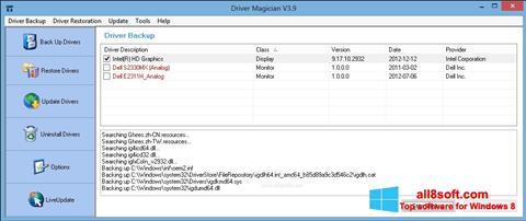 Capture d'écran Driver Magician pour Windows 8