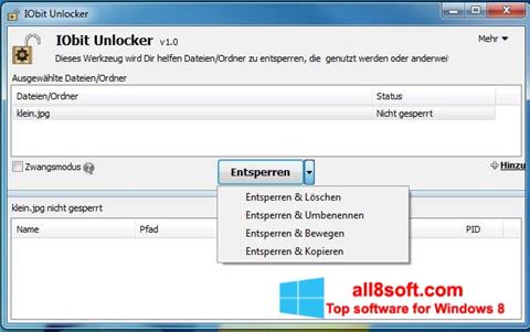 Capture d'écran IObit Unlocker pour Windows 8