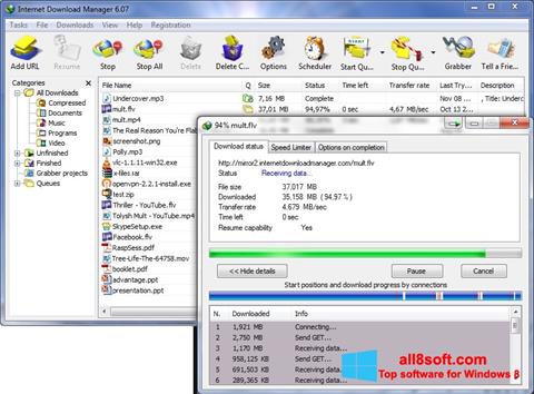 Capture d'écran Internet Download Manager pour Windows 8