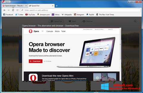 Capture d'écran Opera Developer pour Windows 8
