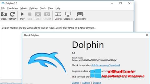 Capture d'écran Dolphin pour Windows 8