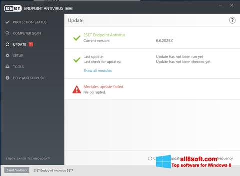 Capture d'écran ESET Endpoint Antivirus pour Windows 8