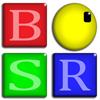 BSR Screen Recorder pour Windows 8