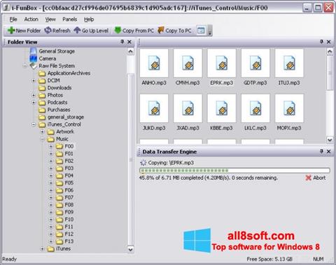 Capture d'écran iFunBox pour Windows 8