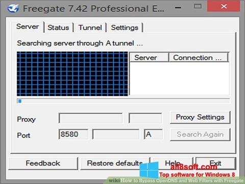 Capture d'écran Freegate pour Windows 8