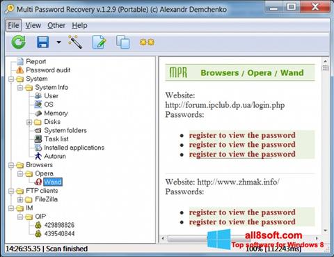 Capture d'écran Multi Password Recovery pour Windows 8