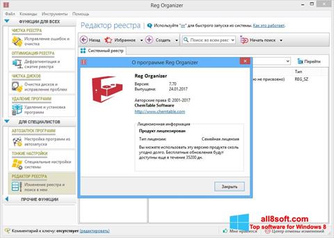 Capture d'écran Reg Organizer pour Windows 8
