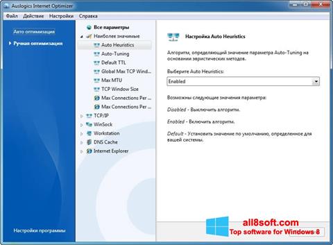 Capture d'écran Auslogics Internet Optimizer pour Windows 8