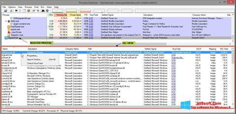 Capture d'écran Process Explorer pour Windows 8