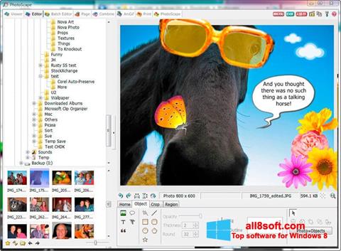 Capture d'écran PhotoScape pour Windows 8