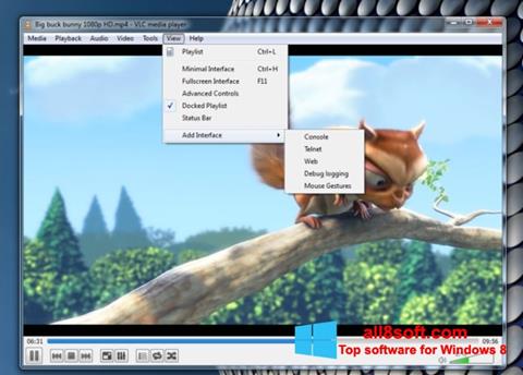 Capture d'écran VLC Media Player pour Windows 8